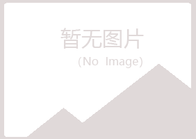 阿城埋没音乐有限公司